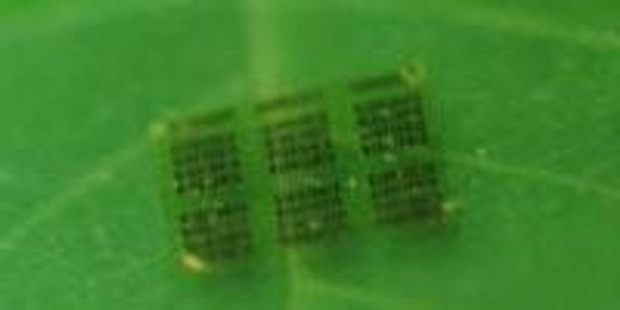 A New Kind of Wood Chip | Lab Manager
