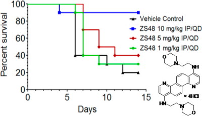 Ebola-fighting compounds