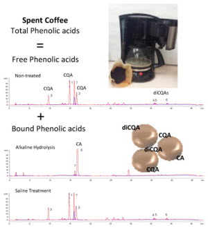 coffee grounds graphic