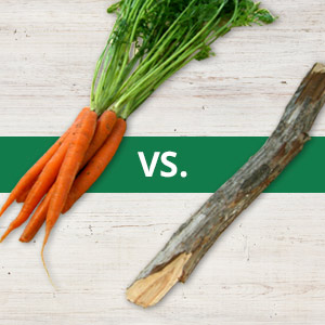 carrot or the stick