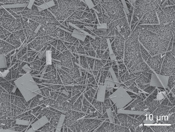 Unsorted nanowire crystals