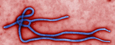 ebola