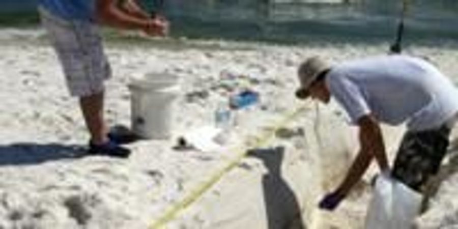 Study Details Impact of Deepwater Horizon Oil Spill on Beach Microbial ...