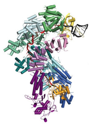 crystal structure