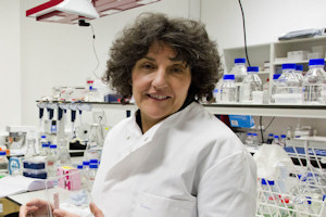 Professor Clare Mills