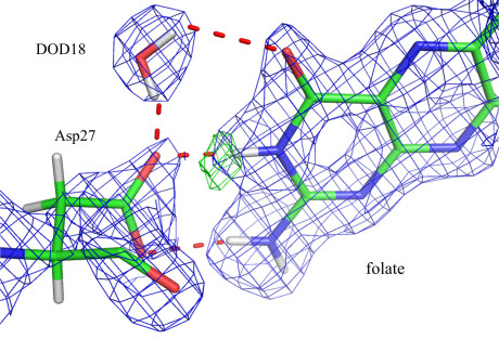 nuclear density maps in the active site of DHFR