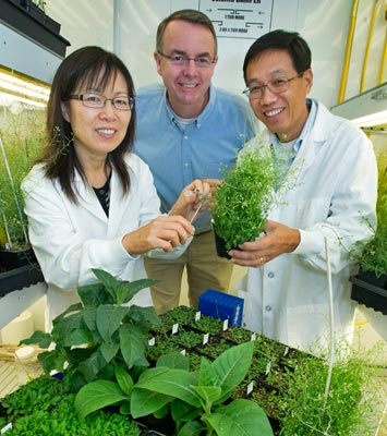 Brookhaven researchers Jilian Fan, John Shanklin, and Changcheng Xu