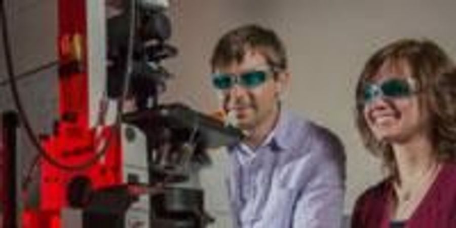 Turning Biological Cells to Stone Improves Cancer and Stem Cell ...
