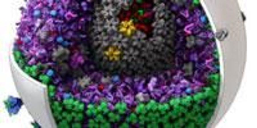 Scientists Create New Tool for Exploring Cells in 3D | Lab Manager
