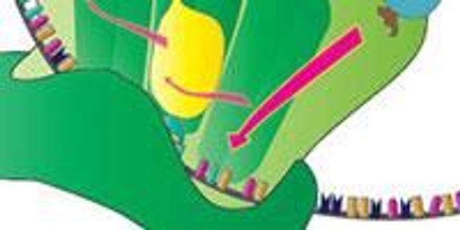 It’s Not Always the DNA | Lab Manager