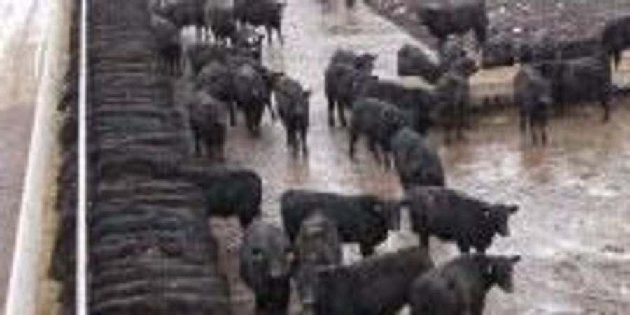 USDA Awards Research Grants to Address the Impact of Climate Change on ...