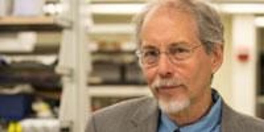 Scientists Synthesize First Functional “Designer” Chromosome in Yeast ...