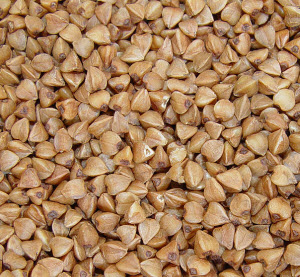 Buckwheat grains