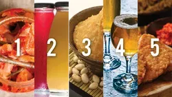 Image of 5 different fermented beverages illustrating the diverse science of fermentation