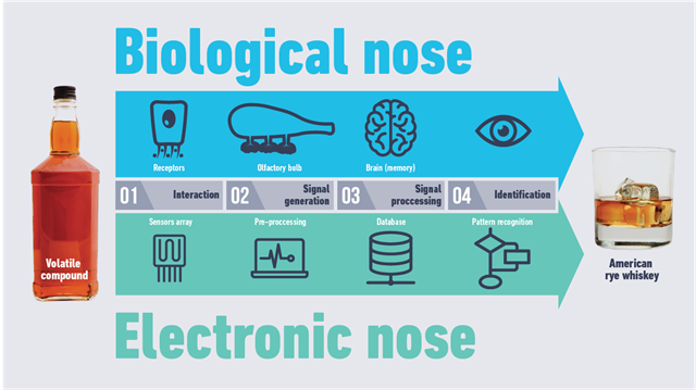 electronic-nose-smell-science-fermentation