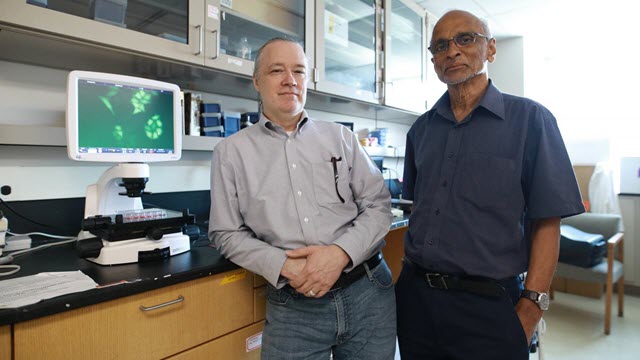 Dr. William Taylor and Dr. L.M. Viranga Tillekeratne, University of Toledo