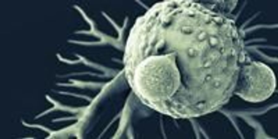 Researchers Identify New Way to Make Cancer Self Destruct | Lab Manager