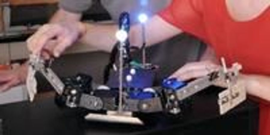 sea-turtles-and-flipperbot-show-how-to-walk-on-granular-surfaces-like