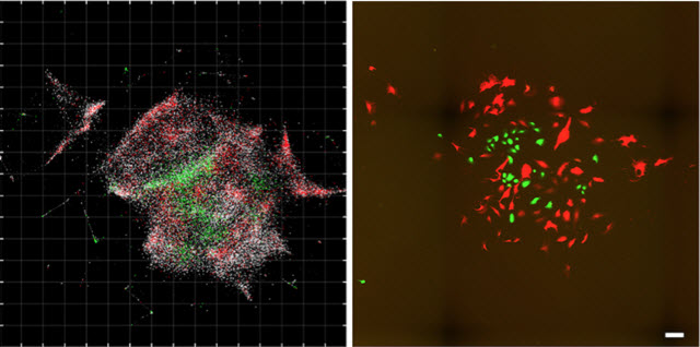 DNA microscopy comparison