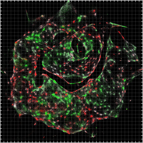 visualization of data provided by DNA microscopy,