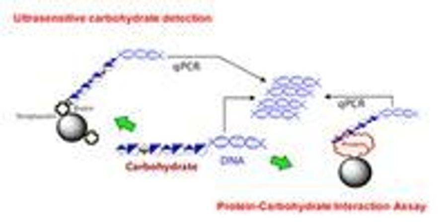 In Plain English: The Clinical Takeaway