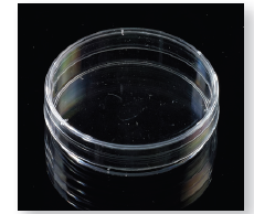 Cell Culture Dishes TC Plastics