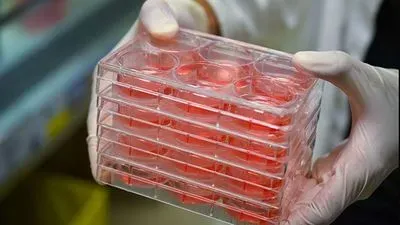 Microplate Technology Options for Organoids