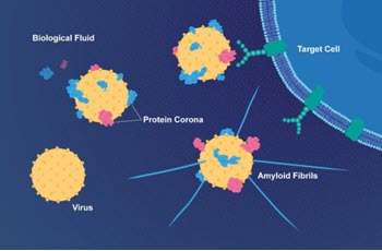 proteins