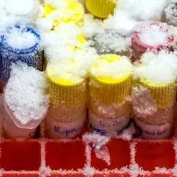 Cold Storage Resource Guide