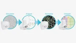 Normalizing Biological Data
