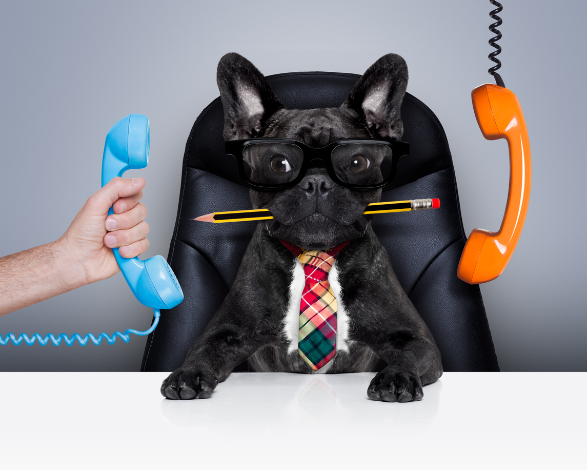 5 Reasons Why You Should Treat Your Employees Like Dogs Lab Manager