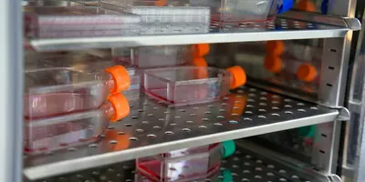 Incubators