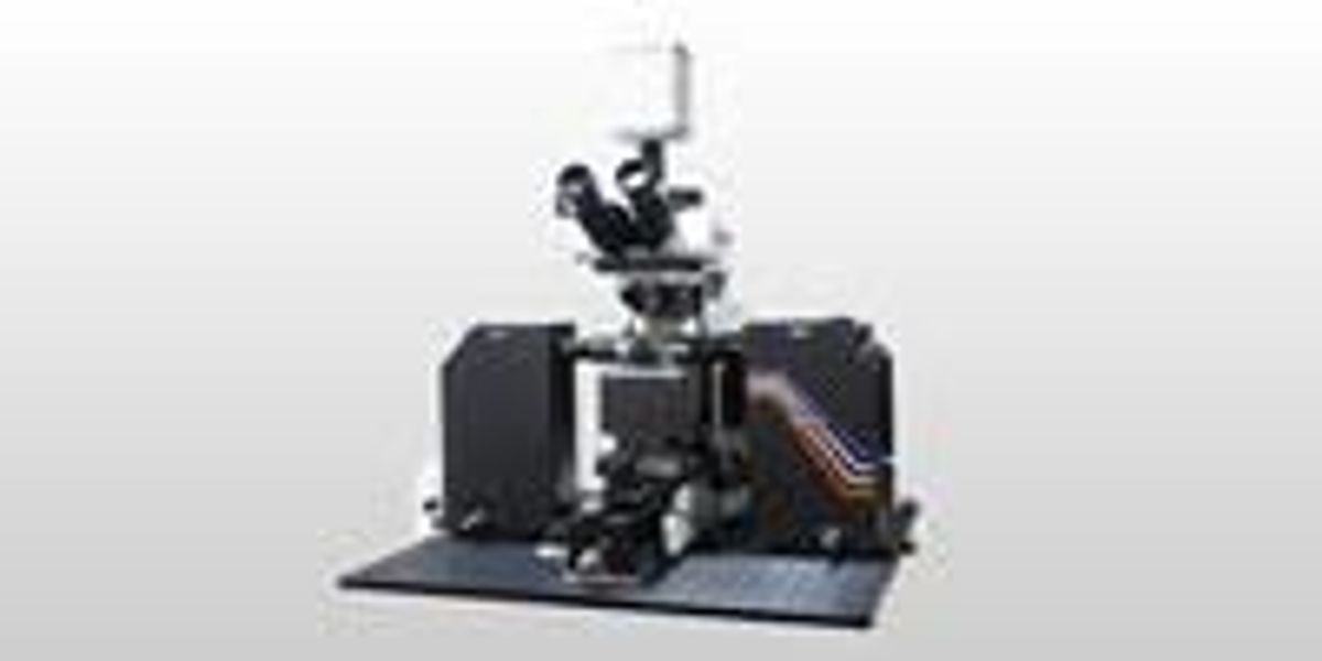 Light Sheet Microscopy Advantages Shelly Lighting