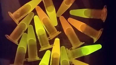 Scientists Find Way to Supercharge Protein Production