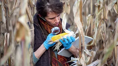 Social Media Contributes to Increased Perception of Food Technology as Risky Business