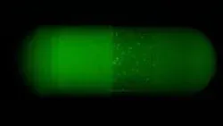 Preventing Drug Counterfeiting