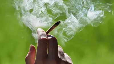 Smoking Cannabis