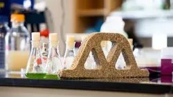 Bacteria and Sand Engineered into Living Concrete