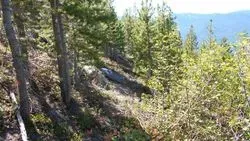 Response to Fire Impacts Water Levels 40 Years into Future