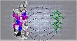 Machine Learning Tool Locates Ancient Hidden Protein Patterns