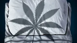 Cannabis and Sleep