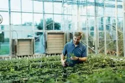 Larry Smart, Cornell University