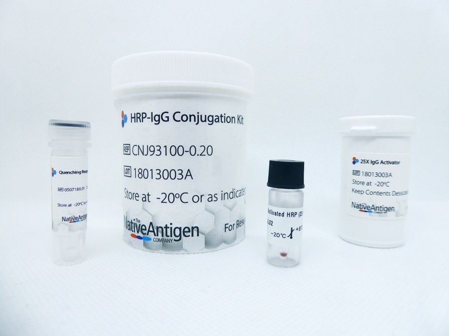 Antigen Ai Labs Company Overview Products The Native Antigen Company Introduces Antigen and Antibody Conjugation