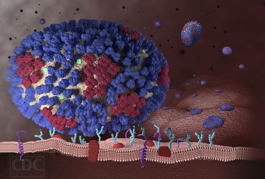 New Tool Monitors Real-Time Mutations in Flu | Lab Manager