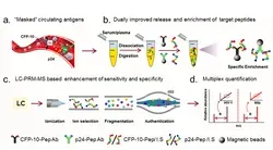 LC-iSPRM-MS platform for simultaneous detection and quantification of HIV and TB