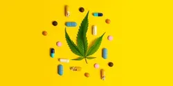 Medical Cannabis Challenges