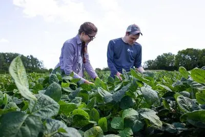 Researchers Collecting Data in Soybean Field