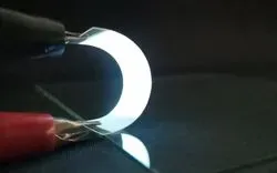 Fish Scales Could Make Wearable Electronics More Sustainable 