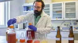 Sam Alcaine, Cornell assistant professor of food science
