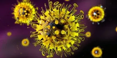 Sartorius Supports the Development of the First Vaccine Candidate Against the Novel Coronavirus to Enter Clinical Trials